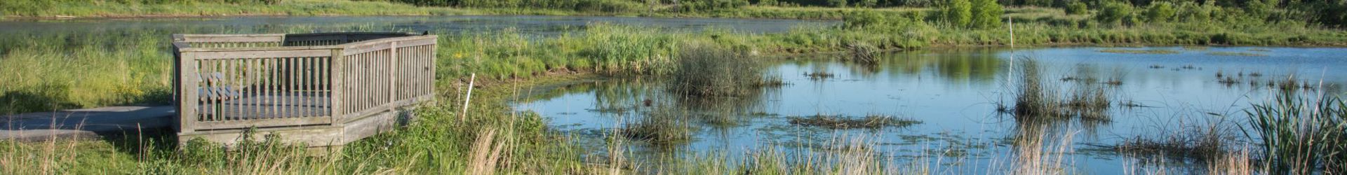 Bolingbrook Shutterstock 1281560455 Cropped